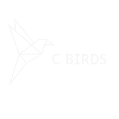 B Birds -  le partenaire build up des PME et des ETI
